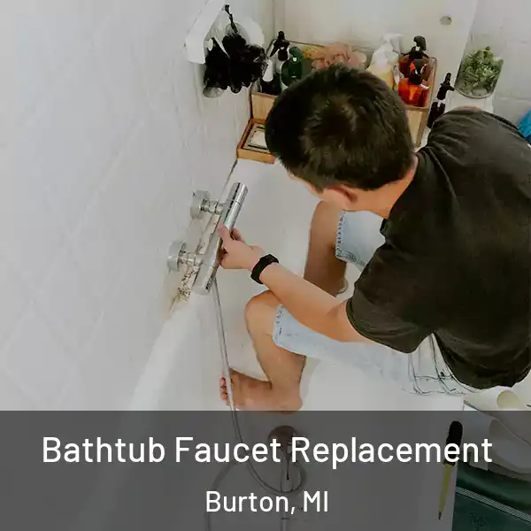  Bathtub Faucet Replacement Burton, MI