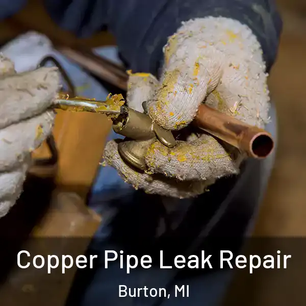  Copper Pipe Leak Repair Burton, MI