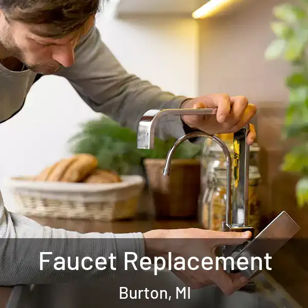  Faucet Replacement Burton, MI