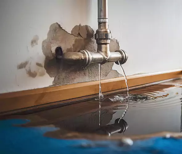 Professional Water Damage Restoration Experts in Burton, MI — Fast, Reliable & Certified