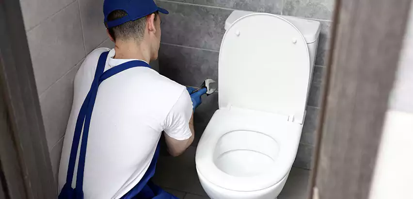 Toilet Lid Replacement in Burton