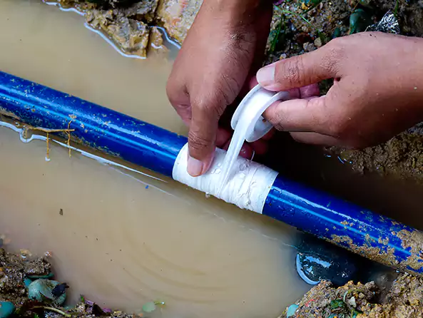  Why Choose Burton Plumbing Heating for Leak Detection in Burton, MI?]