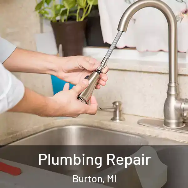  Plumbing Repair Burton, MI