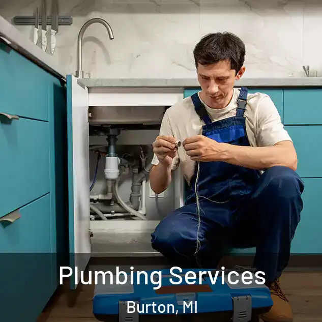  Plumbing Services Burton, MI