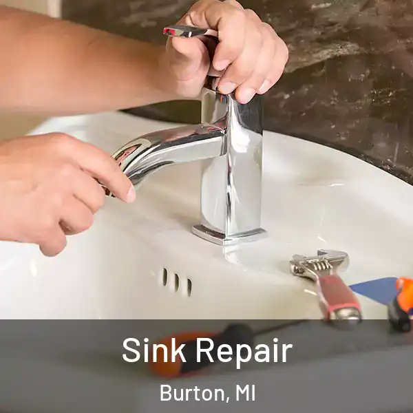  Sink Repair Burton, MI