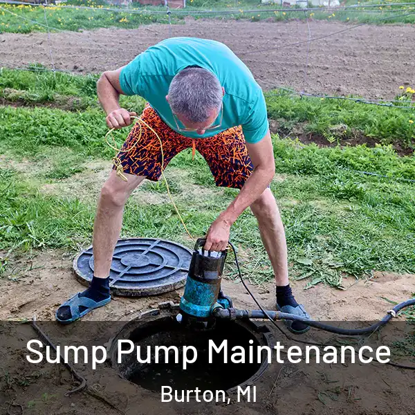  Sump Pump Maintenance Burton, MI