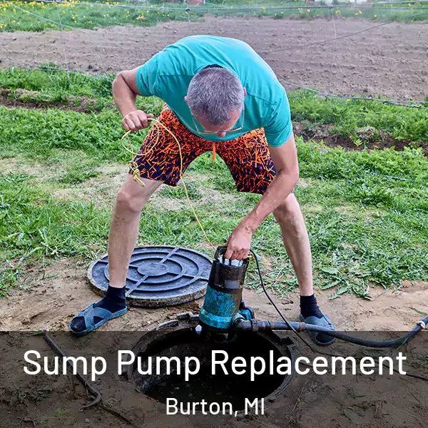  Sump Pump Replacement Burton, MI