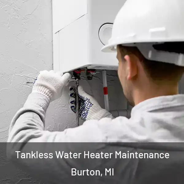  Tankless Water Heater Maintenance Burton, MI