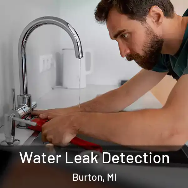  Water Leak Detection Burton, MI